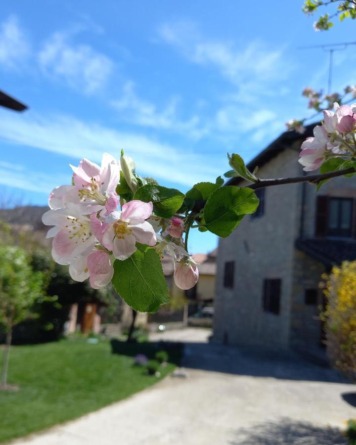 La Pomella Holiday home *